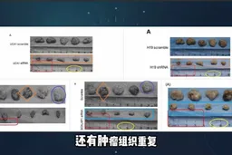 “耿同学”指院士团队论文��片复用 疑涉论文工厂